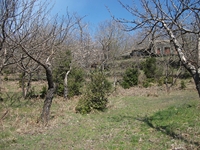 nte Cicirello-10042012 064